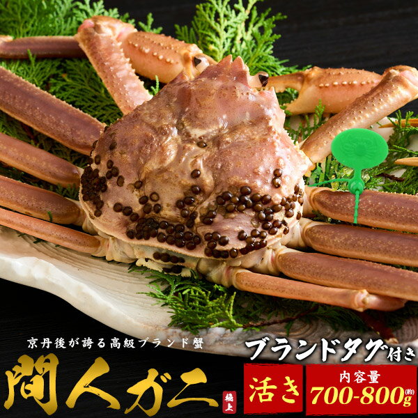 送料無料 京都府産 間人ガニ たいざガニ 1杯 約700～800g 活ガニ(生きたまま出荷) 1尾 2尾 産地 ズワイ..