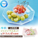 送料無料 お中元 2025 まるごと冷凍 シャインマスカット さくらんぼ 冷凍フルーツ 山形県産 果物 アイスフルーツ 一口サイズ 夏ギフト 御中元 プレゼント...