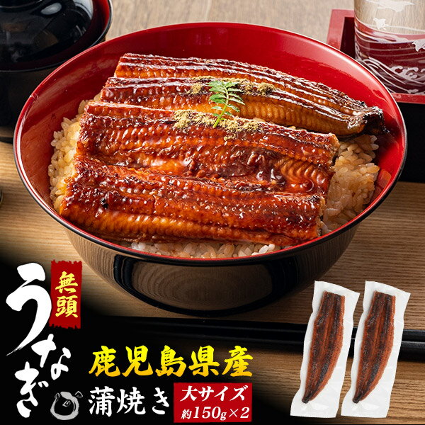 送料無料 うなぎの蒲焼 約150g 無頭 [2尾] うなぎ 蒲焼き 鹿児島 国産 ウナギ 2匹 ...