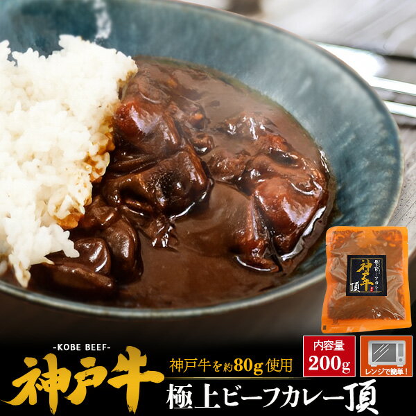 12月予約 送料無料 レ