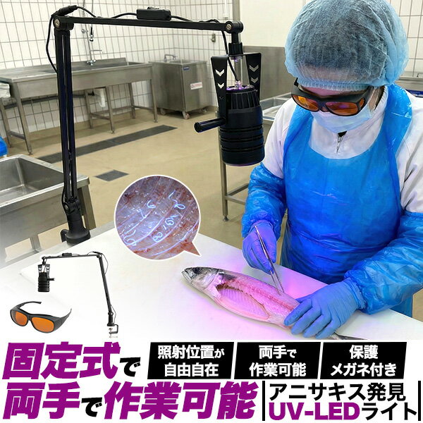 送料無料 アニサキス ライト アニサキス発見 寄生虫 [ 固定式 クランプ ][ 保護メガネ付属 ] 業務用 工場 鮮魚店 魚屋さん 加工 水産加工場 飲食店 お店 店舗 検査 発見 アームライト デスクライト 便利 効率 シンク キッチン 作業台 照射範囲が広い 広範囲 AC電源