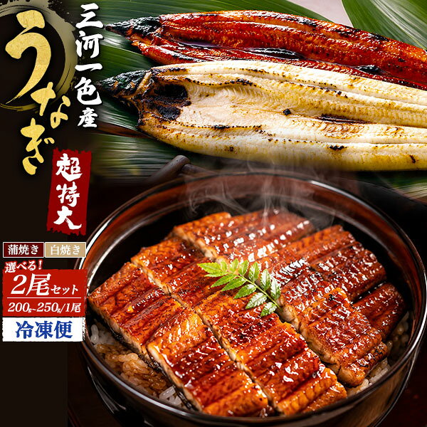 高級食材 高級 高級グルメ 鹿児島県 鹿児島県産 大隈産 国産 国内産 山間部 国産ウナギ 国産うなぎ 国産鰻 ウナギ うなぎ 鰻 4度漬け かば焼き 蒲焼 かば焼き タレ ご利用シーン ギフト 手土産 包装箱 箱付き ホームパーティー おうちごはん 贅沢ご飯 ご褒美 お祝い パーティー 飲み会 宅飲み 父の日 母の日 誕生日 お中元 お歳暮 お土産 記念日 お祝い 引っ越し祝い 結婚祝い 敬老の日 男性 女性 お父さん 父 お母さん 母 おじいちゃん 祖母 おばあちゃん 祖父 20代 30代 40代 50代 60代 ご使用例 うな丼 鰻丼 うな重 鰻重 ひつまぶし 鰻巻き 鰻巻 お寿司 茶わん蒸し 釜めし 釜飯 卵とじ うまき うざく 鰻ざく まむし 鰻ときゅうりの酢の物 超特大サイズ！蒲焼き、白焼きから選べる！ 愛知県三河一色産うなぎ 2尾セット 超特大サイズ！愛知県の三河一色産うなぎを選べるセットでお届けします。 一般的な専門店のうなぎは大サイズで140gぐらいですが、 本品は超特大サイズの200～250gのうなぎを厳選しています。 蒲焼きだけではなく、白焼きも組み合わせ可能。 お好きな3種類の組み合わせから選べます。 長い歴史を持つ養鰻の産地、三河一色産のうなぎを使用。 職人の技と豊かな自然に育まれた、旨みあふれる上質な国産の味わいです。 愛知県産は「新仔（しんこ）」と呼ばれる若いうなぎが多く、 良質な脂が乗っていることから身と皮が軟らかいのが特徴です。 三河一色産のうなぎは、しらす（稚魚）から成鰻まで一貫して育て、 矢作川水系の清流水を使用した天然に近い環境で育成しています。 ストレスを抑えながら健やかに育てることで、良質な脂と柔らかな皮を実現。 さらに、無投薬を基本とした減投薬養殖を行い、池揚げの都度、 徹底した品質チェックを実施しています。 味と品質にこだわり、安心・安全なうなぎをお届けします。 製品仕様 名称 うなぎ蒲焼き(愛知県産) 原材料(蒲焼き) うなぎ（愛知県産）、醤油（大豆.小麦を含む）、味醂、砂糖/着色料（カラメル）増粘剤（加工でん粉） 原材料(白焼き) うなぎ（愛知県産） 内容量(約) 超特大サイズ(200～250g)×2 　タレ×1　山椒×1 種類 蒲焼き+蒲焼き/蒲焼き+白焼き/白焼き+白焼き 賞味期限 出荷から1ヶ月 保存方法 冷凍保存(-18℃以下で保存してください) お届け方法 冷凍便超特大サイズ！蒲焼き、白焼きから選べる！ 愛知県三河一色産うなぎ 2尾セット 超特大サイズ！愛知県の三河一色産うなぎを選べるセットでお届けします。 一般的な専門店のうなぎは大サイズで140gぐらいですが、 本品は超特大サイズの200～250gのうなぎを厳選しています。 蒲焼きだけではなく、白焼きも組み合わせ可能。 お好きな3種類の組み合わせから選べます。 長い歴史を持つ養鰻の産地、三河一色産のうなぎを使用。 職人の技と豊かな自然に育まれた、旨みあふれる上質な国産の味わいです。 愛知県産は「新仔（しんこ）」と呼ばれる若いうなぎが多く、 良質な脂が乗っていることから身と皮が軟らかいのが特徴です。 三河一色産のうなぎは、しらす（稚魚）から成鰻まで一貫して育て、 矢作川水系の清流水を使用した天然に近い環境で育成しています。 ストレスを抑えながら健やかに育てることで、良質な脂と柔らかな皮を実現。 さらに、無投薬を基本とした減投薬養殖を行い、池揚げの都度、 徹底した品質チェックを実施しています。 味と品質にこだわり、安心・安全なうなぎをお届けします。 製品仕様 名称 うなぎ蒲焼き(愛知県産) 原材料(蒲焼き) うなぎ（愛知県産）、醤油（大豆.小麦を含む）、味醂、砂糖/着色料（カラメル）増粘剤（加工でん粉） 原材料(白焼き) うなぎ（愛知県産） 内容量(約) 超特大サイズ(200～250g)×2 　タレ×1　山椒×1 種類 蒲焼き+蒲焼き/蒲焼き+白焼き/白焼き+白焼き 賞味期限 出荷から1ヶ月 保存方法 冷凍保存(-18℃以下で保存してください) お届け方法 冷凍便