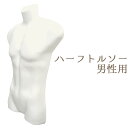 送料無料 アウトレット 紳士用前面ハーフトルソー ネックレスやアクセサリー・衣服の展示・撮影に！　半面のみなので壁に掛けられる！重ねて収納もOK 男性用マネキン ディスプレイ メンズトルソー オークション・フリマ出品用品 店舗用品 洋服 衣類 展示 型崩れ防止 直送w