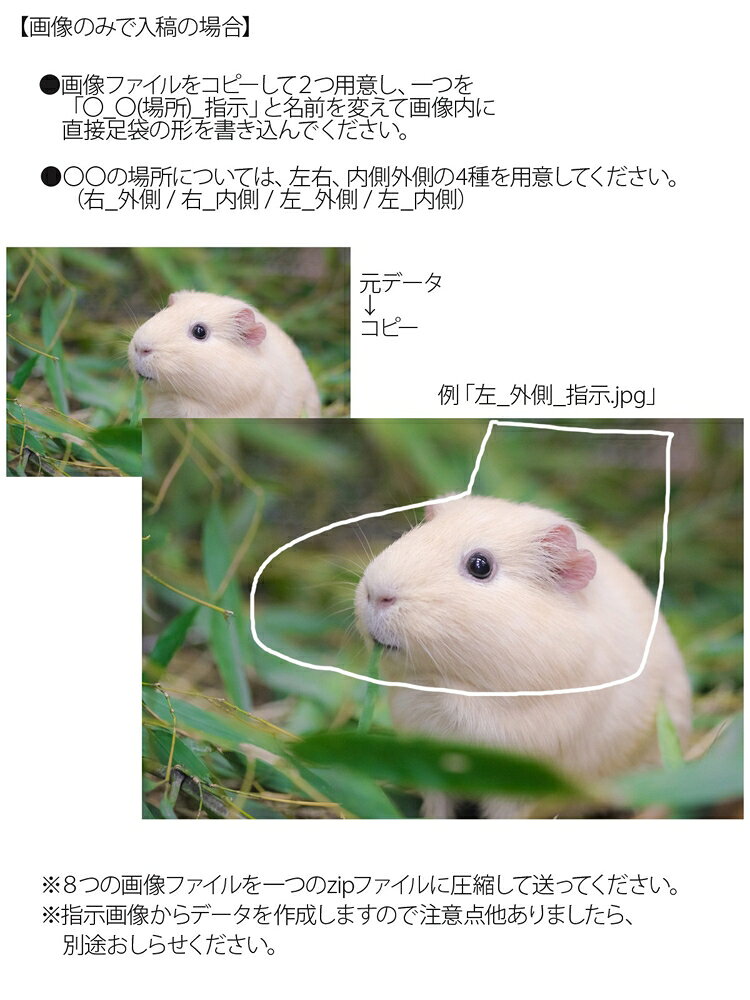 オリジナル作成 フォト足袋 SAMURAITABI アニマル足袋 写真 イラスト 女性 男性 子供 メンズ レディース 091-phototabi