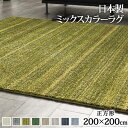 ラグ カーペット おしゃれ ラグマット 滑り止め ずれない 洗える 絨毯 北欧 安い 厚手 日本製 ふっくら ふかふか 子供 防音 防ダニ 2畳 200×200