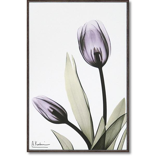 インテリア 壁掛け 壁絵 アートパネル アートボード 絵画 アート 絵 ウォールデコレーション 壁飾り ディスプレイ アートポスター