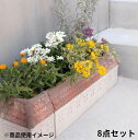 レンガブロック 屋外用 おしゃれ 花壇 庭 安い 激安 フェンス ガーデン 造園 diy プランター ベランダ 置くだけ 並べる だけ インテリア 園芸 装飾 ...