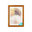 ポスターフレーム フォトフレーム 額縁 枠 フレーム ポスターパネル パネル 額