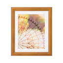 ポスターフレーム フォトフレーム 額縁 枠 フレーム ポスターパネル パネル 額