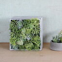 観葉植物 フェイクグリーン 造花 人工 植物 アートフラワー インテリア インテリアグリーン フェイク おしゃれ 室内 お祝い