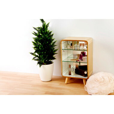 コレクションケース キャビネット ガラス ショーケース アンティーク 薄型 フィギュア ディスプレイ 棚 ディスプレイケース コレクションラック 北欧 レトロ ...