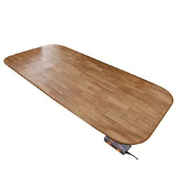 ラグ カーペット じゅうたん ラグマット 絨毯 安い ホットカーペット 防水 木目調 カバー セット 1畳 (98×200) マット 電気マット 厚手 長方形 洗える