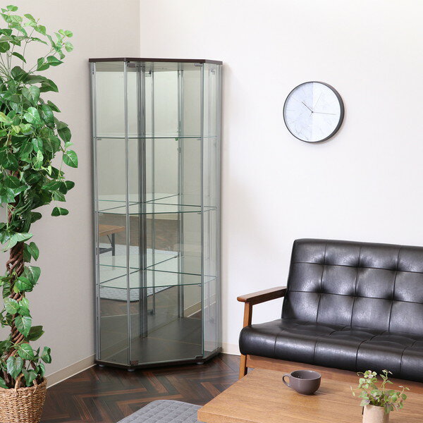 コレクションケース キャビネット ガラス ショーケース アンティーク 薄型 フィギュア ディスプレイ 棚 ディスプレイケース コレクションラック 北欧 レトロ ...