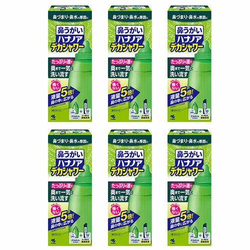 ハナノア デカシャワー 鼻うがい 鼻づまり 鼻水 鼻洗浄 専用洗浄液 小林製薬　6個セット