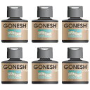 ガーネッシュ レイン GONESH リキッド エアフレッシュナー 6個 おしゃれ 芳香剤 車 部屋 液体 リラックス 癒し グッズ 香り 芳香 匂い お香 カーフレグランス(2)