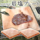 岩塩プレート ヒマラヤ岩塩 2枚 バーベキュー BBQ アウトドア 18×18cm