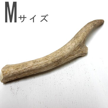 送料無料 鹿の角　鹿角 Mサイズ 約16cm　犬のおもちゃ 犬のおやつ 天然鹿の角