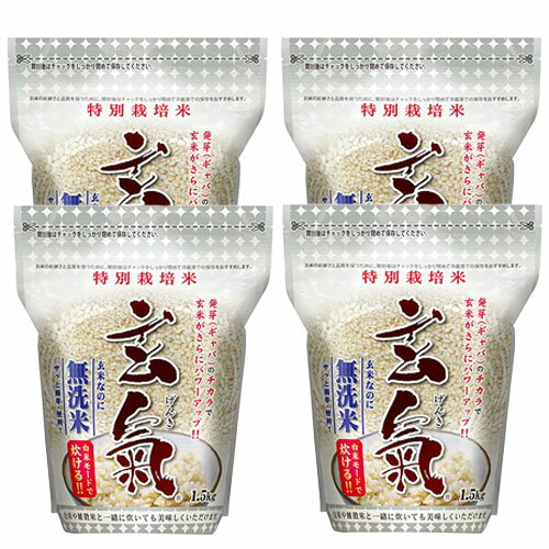川島米穀店 特別栽培米 玄氣 1.5kg 真空パック 玄米 無洗米