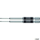 ベッセル GS160100 VESSEL 剛彩ビット 精密タイプ 2本組 (片頭) +0×100mm