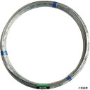 ダイドーハント 10155460 DAIDОHANT 針金 5Kg巻 #12