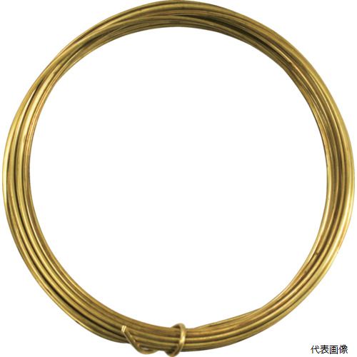 ダイドーハント 10155800 DAIDOHANT 真鍮線 #28x12m