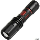 日動工業 SL-2F NICHIDO フォーカスLEDライト アンタレス 電池式 2W 屋外型 昼光色 140Lm