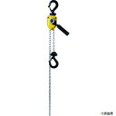 【スタンプラリー】オーエッチ工業 MLV-05 OH ミニレバーホイスト500Kg