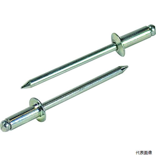 ロブテックス NS62MP エビ ブラインドリベット(スティール／スティール製) 6-2(35本入) エコパック
