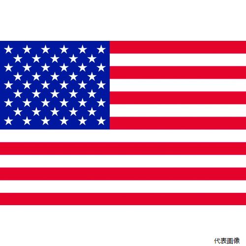 【特長】 ●ポリエステル100％でシワになりにくく、軽量で風に良くなびきます。 ●雨に濡れても乾きが早いです。 【用途】 ●海外からのお客様の歓迎等用に。 【仕様】 ●表示内容：アメリカ ●旗寸法縦×横(mm)：700×1050 ●レザーハ...
