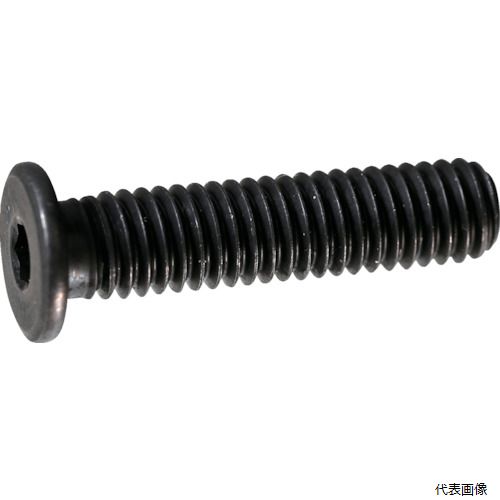 トラスコ Y153-0416 TRUSCO 超低頭キャップボルト スチール黒染め M4×16 10本入 ／六角穴付ボルト(CAP)