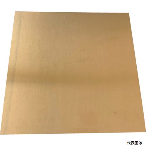 �ȥ饹�� SISIN0.05-100-200 TRUSCO ����ץ졼�� ��� 0.05��100��200mm