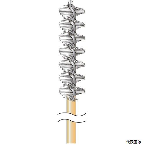 �ʥ��˥� 51622 ���󥵥��ɥ磻�䡼�֥饷 ��8��30�߼���3 ����0.1