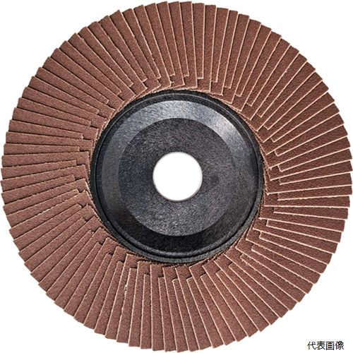 イチグチ TDE10015-A-150 AC テクノディスクA-E 外径×穴径：100×15mm 粒度(#)150