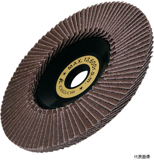 イチグチ TDE10015-A-240 AC テクノディスクA-E 外径×穴径：100×15mm 粒度(#)240