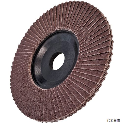 イチグチ TD10016-A-60 AC テクノディスクA #60 外径100×羽根長さ15×穴径16