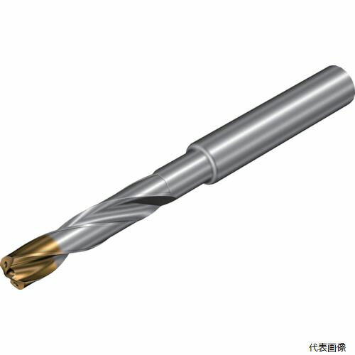 サンドビック 860.1-0900-044A1-GM SANDVIK コロドリル860‐GM 超硬ソリッドドリル(720) X1BM