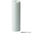 アイオン 5R-2310 AION カネフィールR 250mm 公称精度5μm (2本/パック)