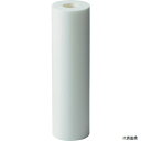 アイオン R-2850 AION カネフィールR 250mm 公称精度200μm (2本/パック)