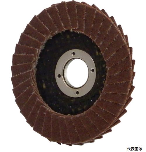 イチグチ TD5010-A-400 AC テクノディスクA 50X10 #400