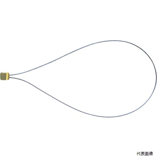 【特長】 ●ステンレス製で強度に優れます。 【用途】 ●セーフティコードと工具の接続に。 【仕様】 ●色：シルバー ●最大使用可能質量(kg)：1.0 ●コード径(mm)：1 ●自然長(mm)：170 ●全長(mm)：170 ●最大使用荷重：1kg 【材質／仕上】 ●ステンレス鋼 【注意】 ●工具の使用目的以外には使用しないで下さい。 【入数】 ●1本 他のサイズはこちら 在庫のない商品は検索に表示されない場合がございます　