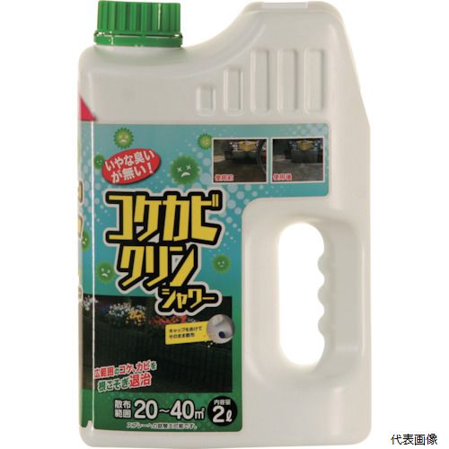 メイン画像