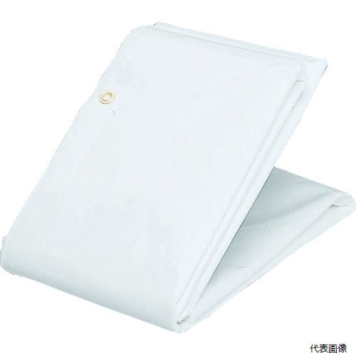 【特長】 ●軽量で作業性が向上します。 ●強度が高く光透過性に優れています。 ●焼却時、ダイオキシン類の発生が少ないシートです。 ●使用環境温度：-40℃〜60℃で寒冷地でも使用可能です。 【用途】 ●建築、建設などの壁面養生に。 【仕様】 ●色：ホワイト ●幅(m)：10 ●長さ(m)：10 ●厚さ(mm)：0.3 ●ハトメ数(個)：80 ●ハトメピッチ(cm)：50 ●引張強度：縦645N/3cm、横639N/3cm ●引裂強度：縦230N、横205N ●消防法で定められた防炎物品 ●防炎表示者認定番号：AFE330085 ●ハトメ付 【材質／仕上】 ●シート：ポリエチレン（PE） ●ハトメ：アルミ（内径：12mm） 【入数】 ●1枚 他のサイズはこちら 在庫のない商品は検索に表示されない場合がございます　