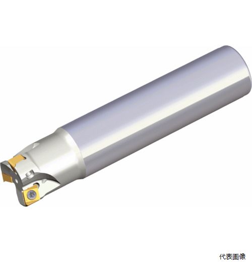 テグテック ミーリングカッター チェイス4ミル 4N TE90-216-W16-06 テグテックジャパン