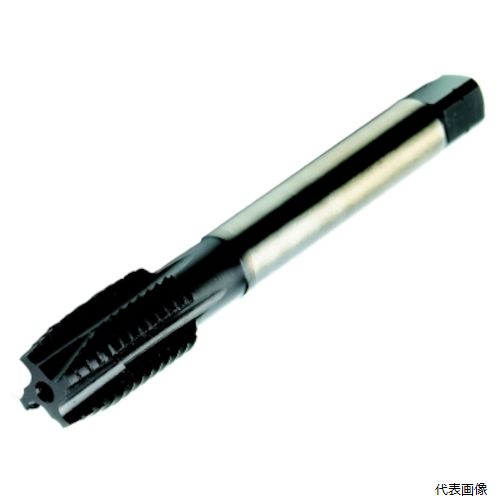 樂天商城 - サンドビック T200-SD100JA-M5 SANDVIK コロタップ200 ポイントタップ(780) D115