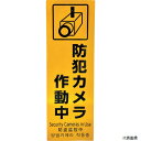 光 HBH301-1 多国語防犯サイン 反射シート 防犯カメラ作動中