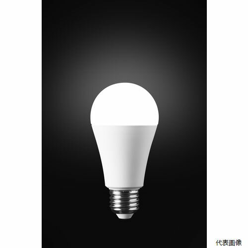 かりはな製作所 KS01N-WH 防災電球2025モデル KS01NーWH 昼白色