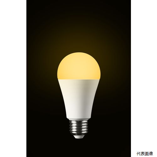 ����Ϥ������ KS01N-OR �ɺ��ŵ�2025��ǥ� KS01N��OR �ŵ忧