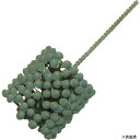 BC-76.0 YUKO フレックスホーン#SC240 BC型 シリコンカーバイド軸径6.3mm BC-76.0 SC240