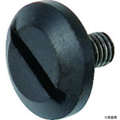 TJMデザイン SCR-NEJI2 タジマ スクレーパーL・H 共通ネジ(2個)