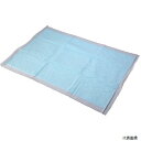 【スタンプラリー】橋本クロス HL-01 橋本 吸水パッド 600×900mm (50枚入)(4)